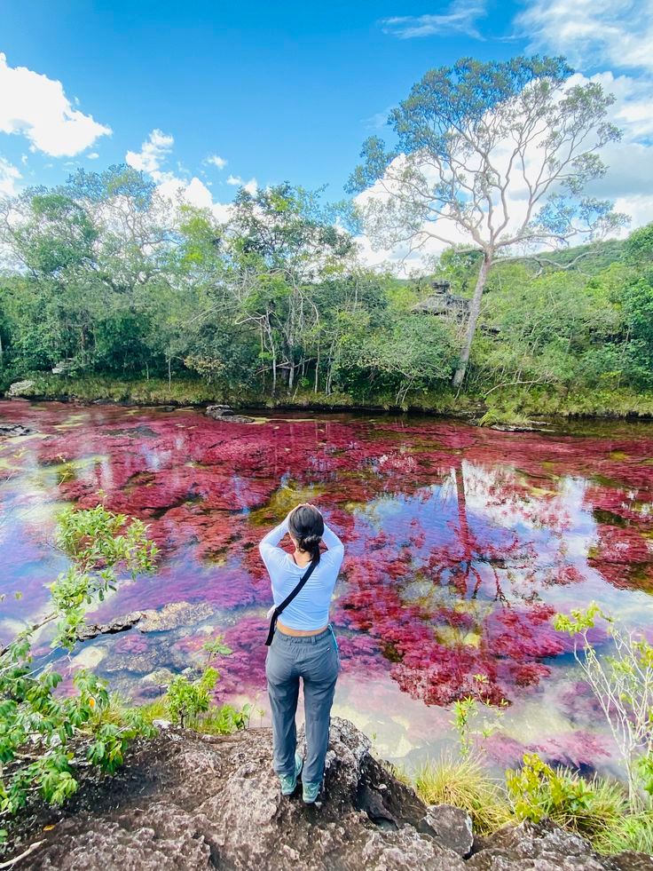 Caño Cristales